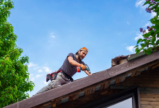 Best 4 Ply Roofing  in Haughton, LA